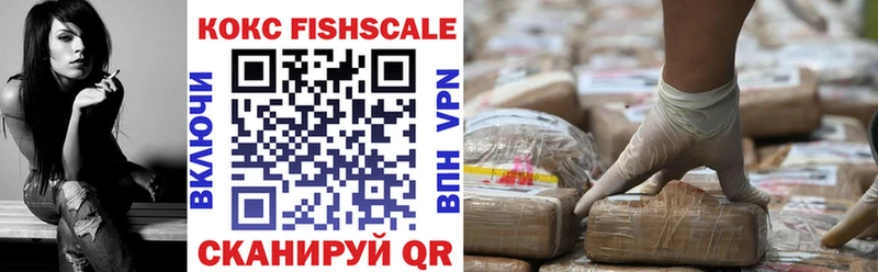 COCAIN Fish Scale  Купить  Тулун 